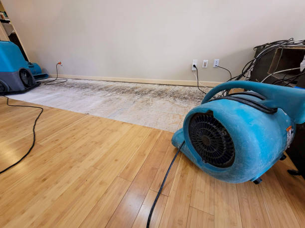 Professional Basement Flood Cleanup technician working in Quinton, AL